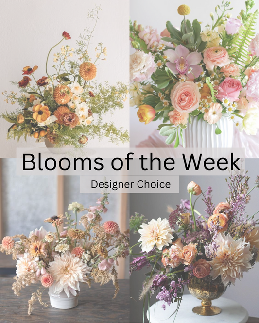 Blooms of the Week -