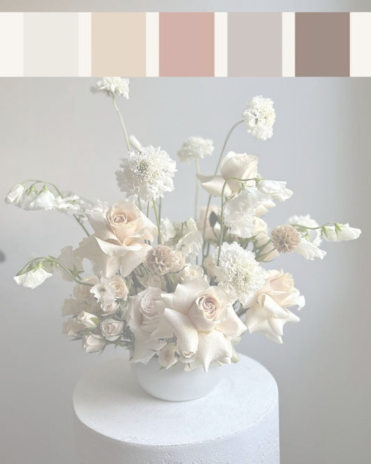 Designer Choice - Neutral